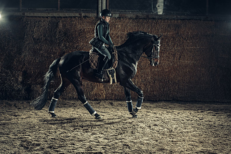 AUG 11 2018@12:00 AM - 11:59 PM